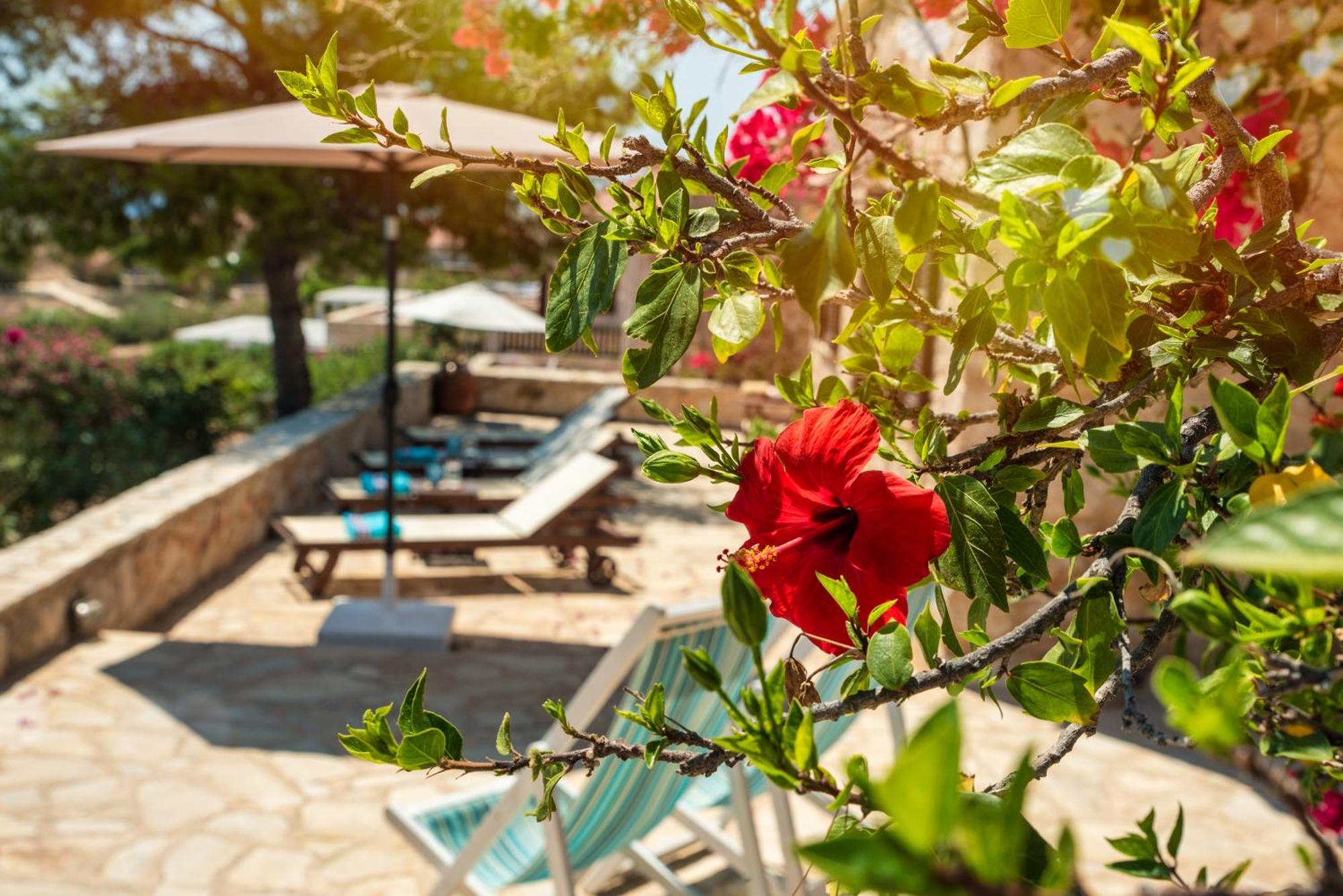 Villa Ftenagia Chalki Town Exteriér fotografie